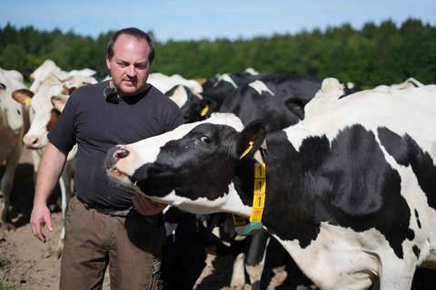 Landwirt Stefan Struben bei seinen Tieren