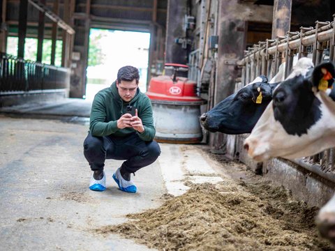 Teilnehmer des Milkfluencer-Treffs beim Dreh eines Reels im Stall