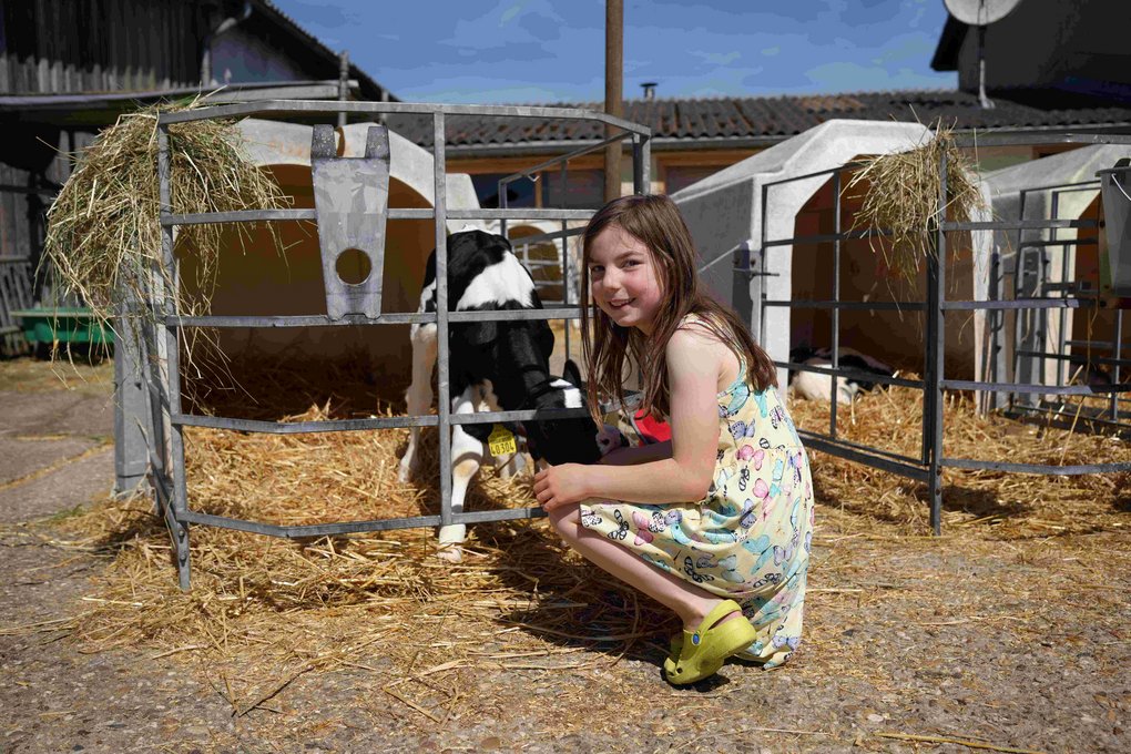 Tierwohl für Kälbchen im Kälberiglu