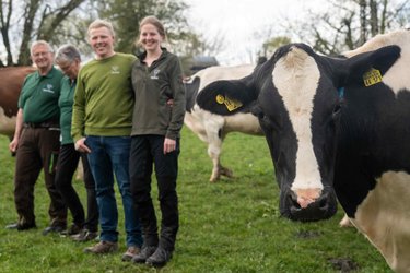 Familie Schmidt bei ihren Kühen auf der Weide - die Kuh im Vordergrund.