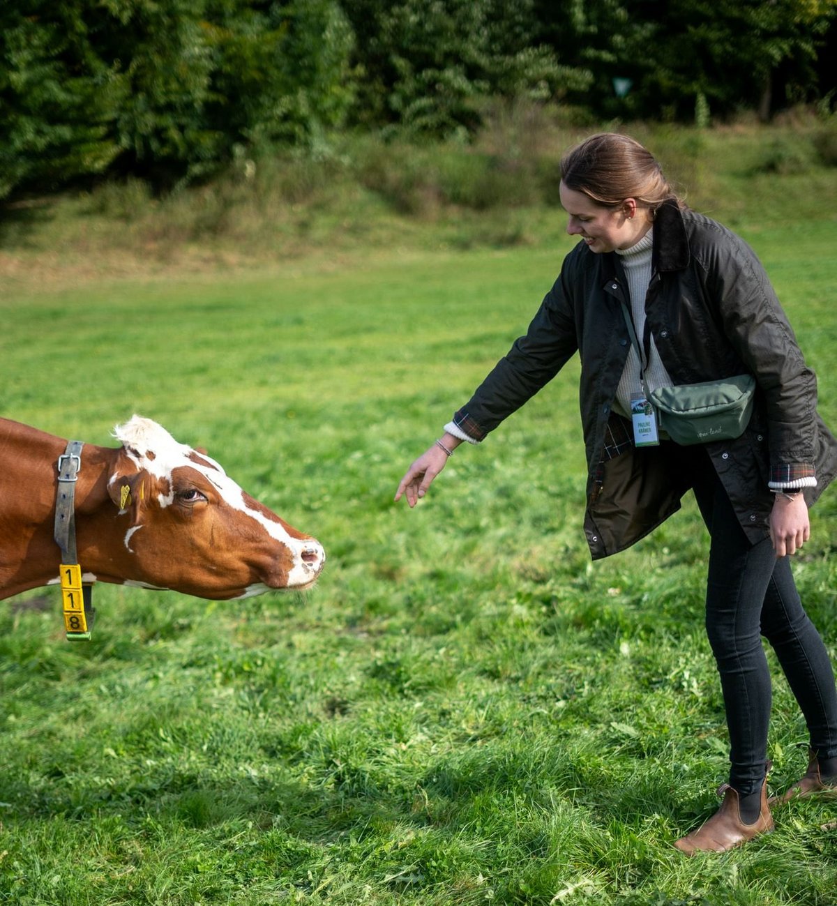 Tierische Begegnung: Agri-Bloggerin Pauline Krämer nähert sich einer Kuh auf der Weide des Hofes Schmidt in Brilon.