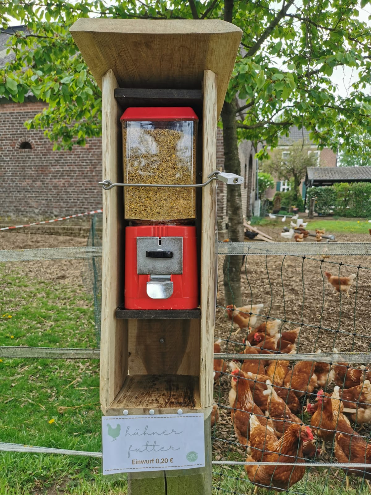 Futter steht am Automaten für die Hühner bereit auf dem Büchelshof in Kevelaer