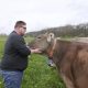 Landwirt Benny Reuter nutzt Vorteile von Weidegang für seine Kühe