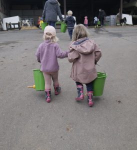 Kindergartenkinder auf dem Weg zum Kälbchenstall